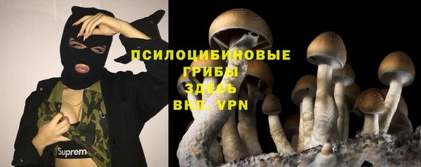 крисы Абаза