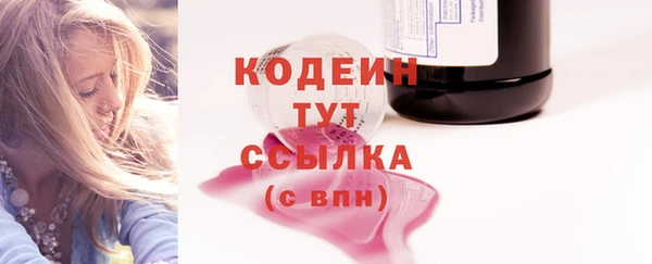 индика Майский