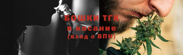индика Майский