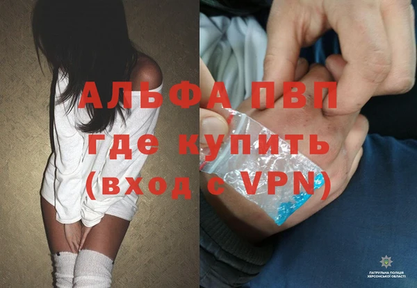 индика Майский