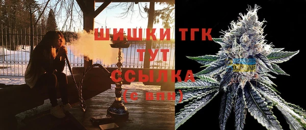 крисы Абаза