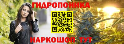 амф Аша
